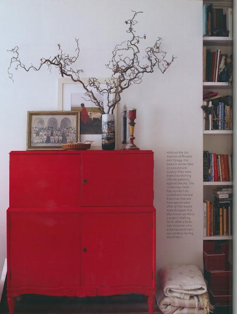 Traer la naturaleza a casa / Bringing Nature Home