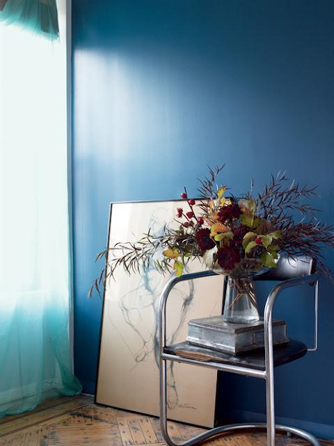 Traer la naturaleza a casa / Bringing Nature Home