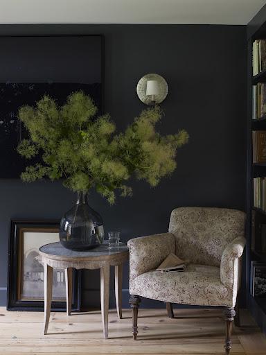 Traer la naturaleza a casa / Bringing Nature Home