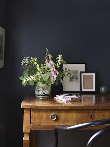 Traer la naturaleza a casa / Bringing Nature Home