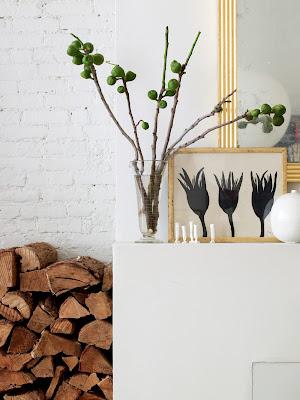 Traer la naturaleza a casa / Bringing Nature Home