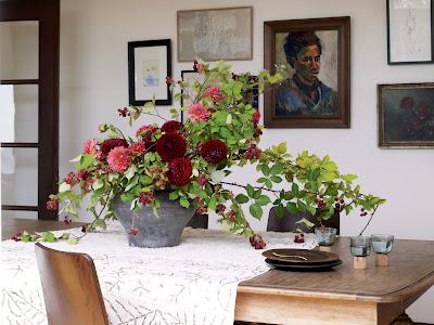 Traer la naturaleza a casa / Bringing Nature Home