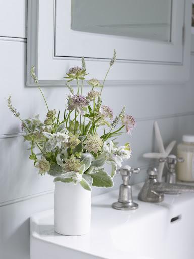 Traer la naturaleza a casa / Bringing Nature Home