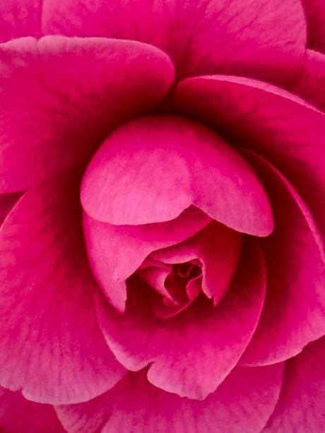 137,5 grados de belleza