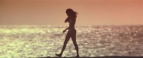 Wild Things - 1998 Wild Things - 1998