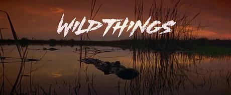 Wild Things - 1998 Wild Things - 1998