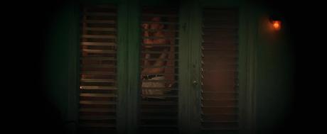 Wild Things - 1998 Wild Things - 1998