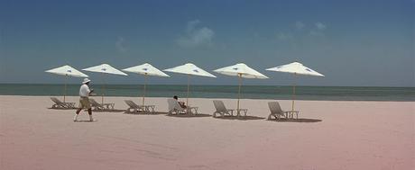 Wild Things - 1998 Wild Things - 1998