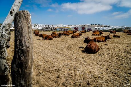 CONIL DE LA FRONTERA
