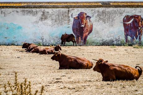 CONIL DE LA FRONTERA