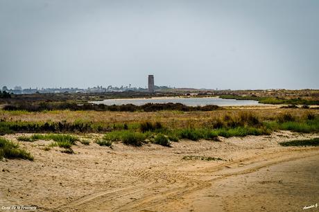 CONIL DE LA FRONTERA