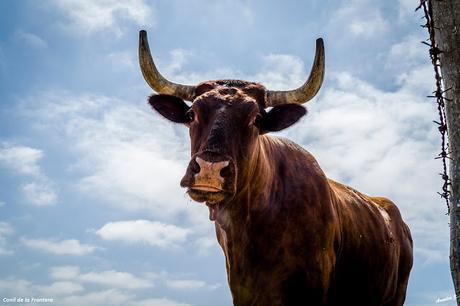 CONIL DE LA FRONTERA