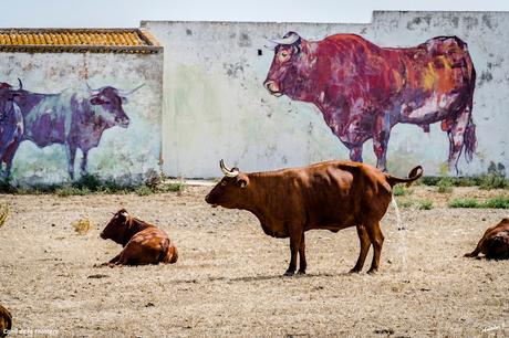 CONIL DE LA FRONTERA