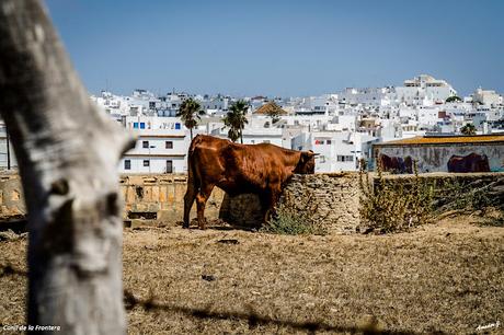 CONIL DE LA FRONTERA