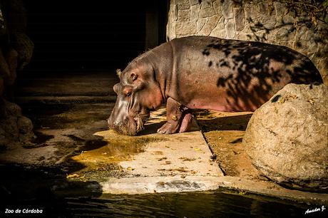 ZOO DE CÓRDOBA
