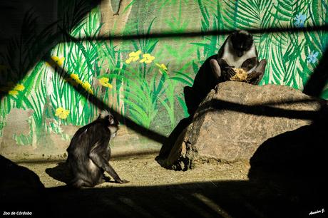 ZOO DE CÓRDOBA