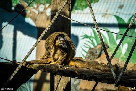 ZOO DE CÓRDOBA