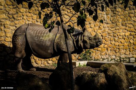 ZOO DE CÓRDOBA