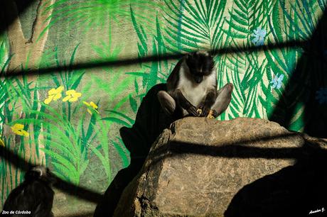 ZOO DE CÓRDOBA