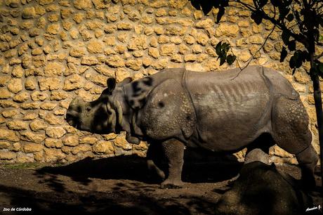 ZOO DE CÓRDOBA