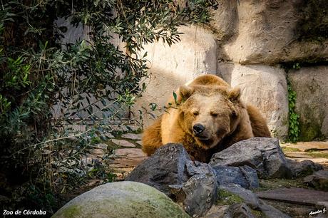 ZOO DE CÓRDOBA