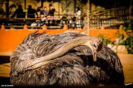 ZOO DE CÓRDOBA