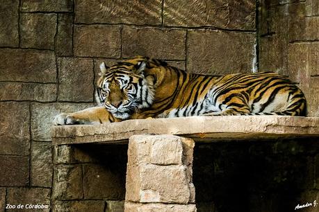 ZOO DE CÓRDOBA