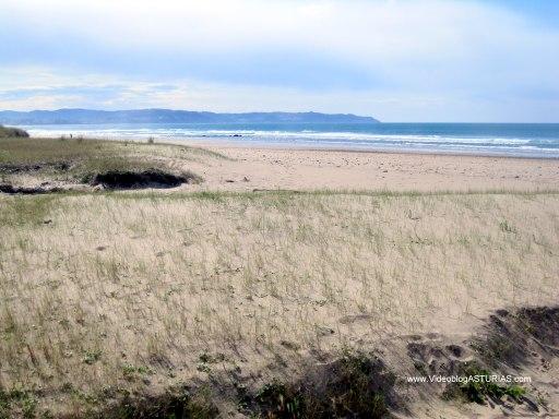 Playa de Vega en Ribadesella: Dunas