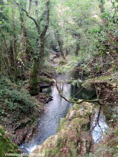 Cascadas de Oneta – Villayón (Asturias) : Vídeo de 1 min y 5 fotos
