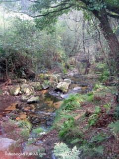 Cascadas de Oneta – Villayón (Asturias) : Vídeo de 1 min y 5 fotos