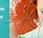 Factual: Guerra Balcanes