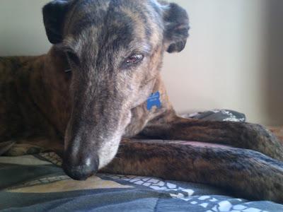 A la vejez....viruelas!!!