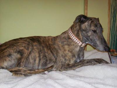 A la vejez....viruelas!!!