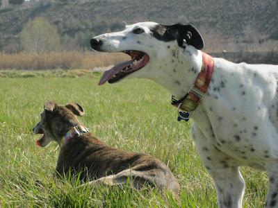 A la vejez....viruelas!!!