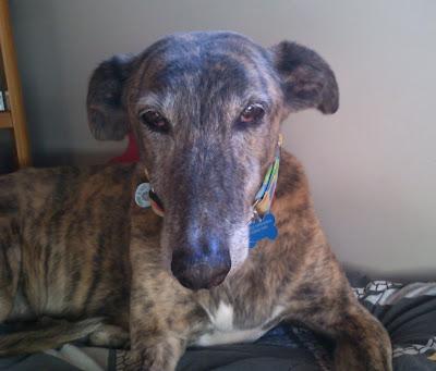 A la vejez....viruelas!!!