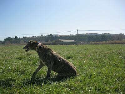 A la vejez....viruelas!!!