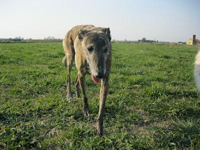 A la vejez....viruelas!!!