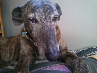 A la vejez....viruelas!!!