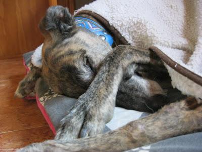 A la vejez....viruelas!!!