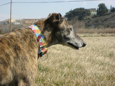 A la vejez....viruelas!!!