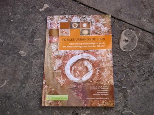 fosiles-urbanos-de-leon