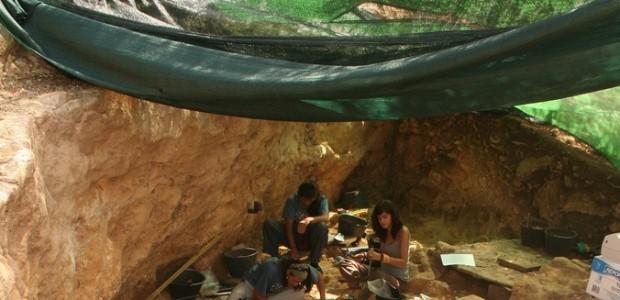 Conoce lectura excitante: saga longevos vieja familia)