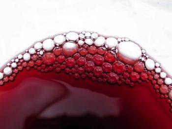 Vino viejo en odres nuevos