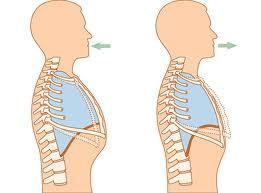 r53 La respiración, una herramienta clave en los entrenamientos físicos y en la salud en general
