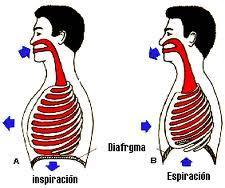 r319 La respiración, una herramienta clave en los entrenamientos físicos y en la salud en general