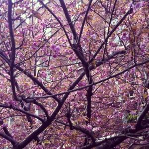 {Viernes} Repasando la semana…