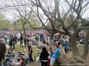 Muchedumbre Comida en la calle en Parque Ferrera, Avilés, desde árboles tumbados Muchedumbre Comida en la calle en Parque Ferrera, Avilés, desde árboles tumbados