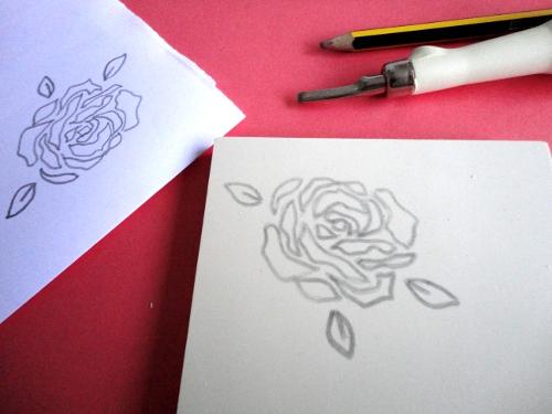 Dedica libros con rosas