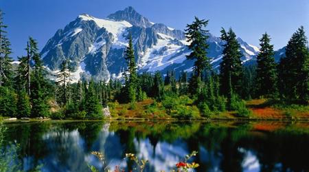 Ya no quiero seguir luchando