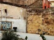 trasera viejo taller